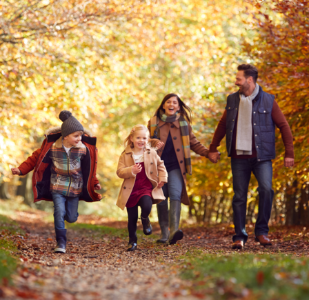 <strong>Wrap up and explore </strong>