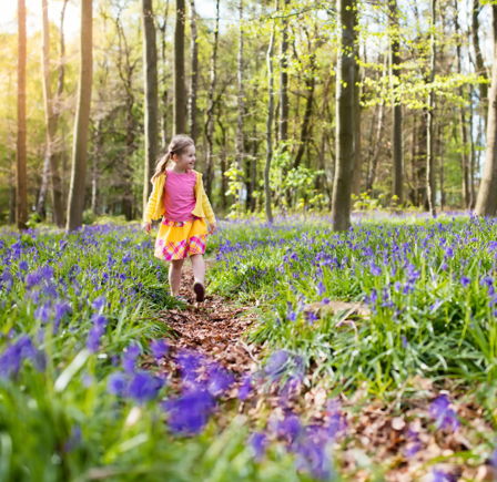 Springtime Strolls