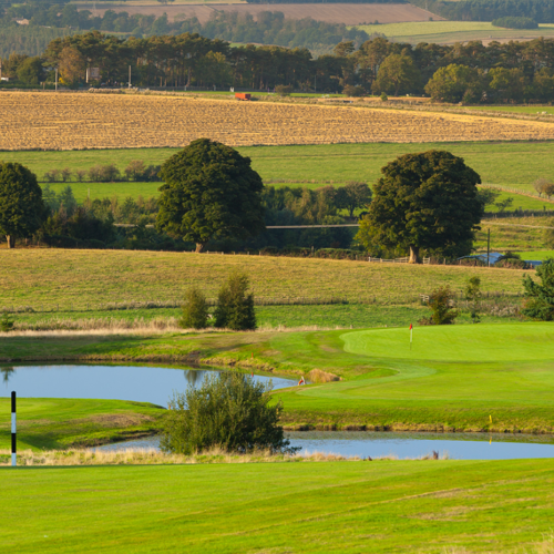 <p>PRIESTMAN COURSE 4TH HOLE</p>