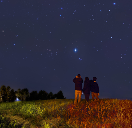 <strong>Stargazing</strong>