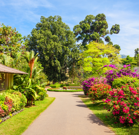 Gorgeous Gardens