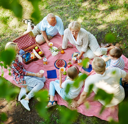 Picnic In The Park &nbsp;&nbsp;