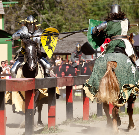 <strong>GRAND MEDIEVAL JOUST&nbsp;</strong>