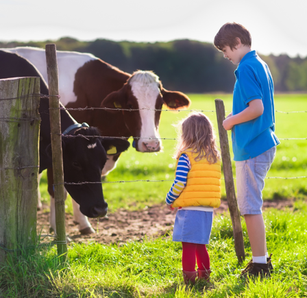 Trips To The Farm