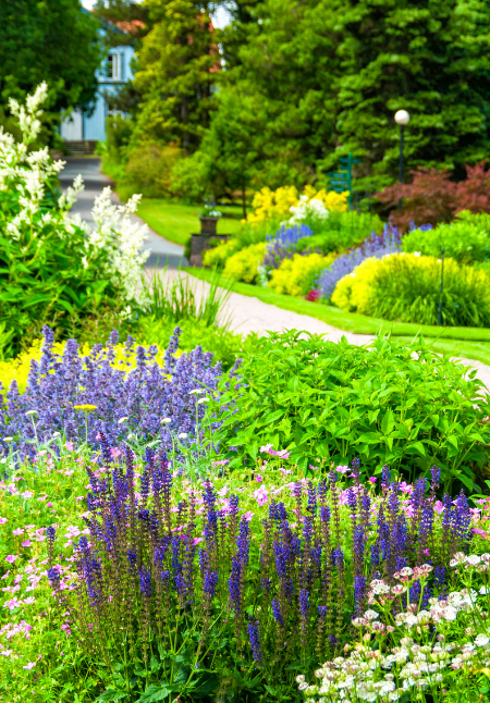 Gorgeous Gardens