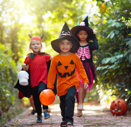 <strong>Halloween Kidsfest at Sacrewell Farm</strong>